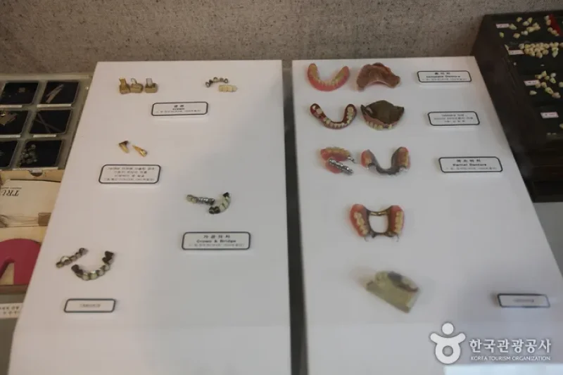 ソウル大学校 歯医学博物館（서울대학교 치의학박물관） (4/18)