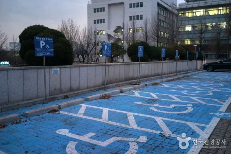 ソウル大学校 歯医学博物館（서울대학교 치의학박물관） (9/18)