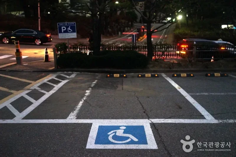 ソウル大学校 歯医学博物館（서울대학교 치의학박물관） (17/18)