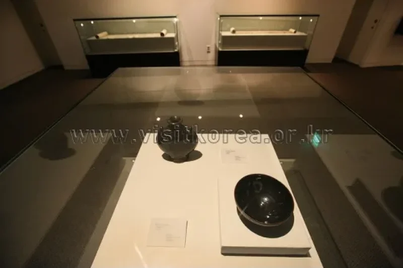 高麗大学校博物館（고려대학교박물관） (29/45)