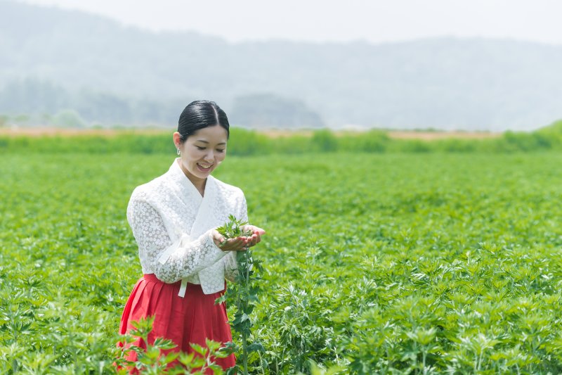 江華郡広報大使よすみまりと行く江華島ツアー (9/55)