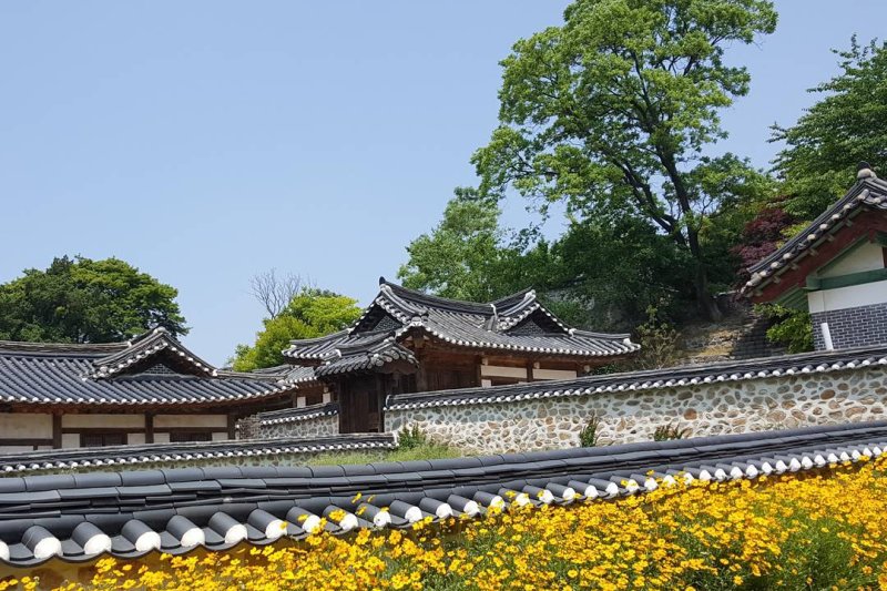 江華郡広報大使よすみまりと行く江華島ツアー (31/55)