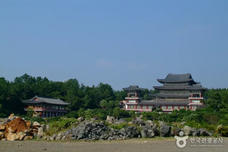 薬泉寺テンプルステイ (1/1)