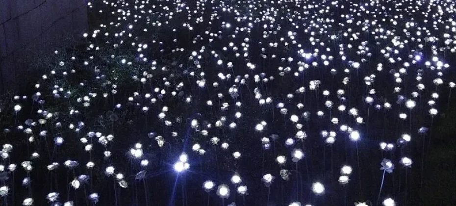 トンデムンデザインプラザのLEDバラ庭園 (1/7)