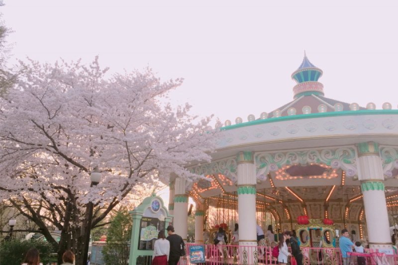 E-WORLDピョルピッ桜祭り (24/36)