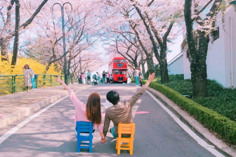 E-WORLDピョルピッ桜祭り (34/36)