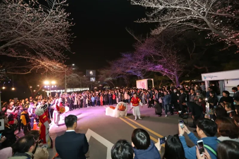 レッツランパークソウル夜間桜祭り (2/5)