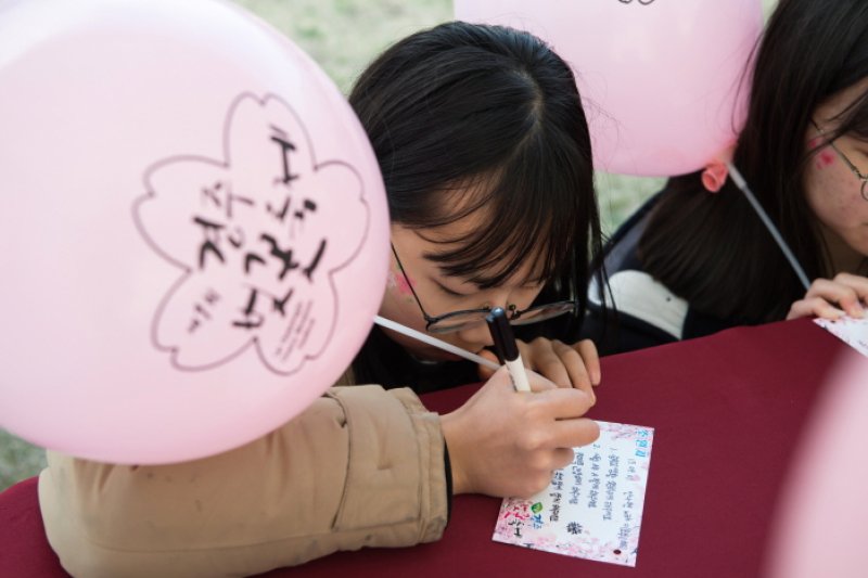 慶州桜祭り2018 (6/8)