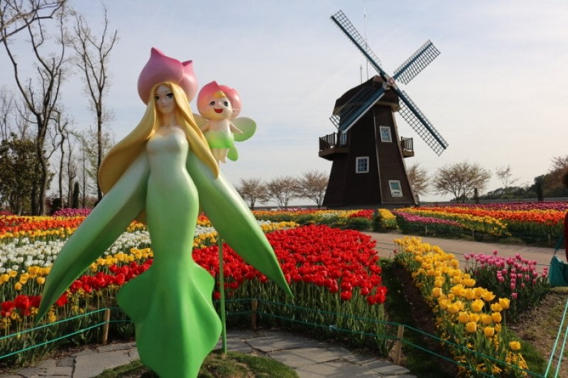 順天湾国家庭園 春花祭り（순천만국가정원 봄꽃 축제 2018 ） (3/11)