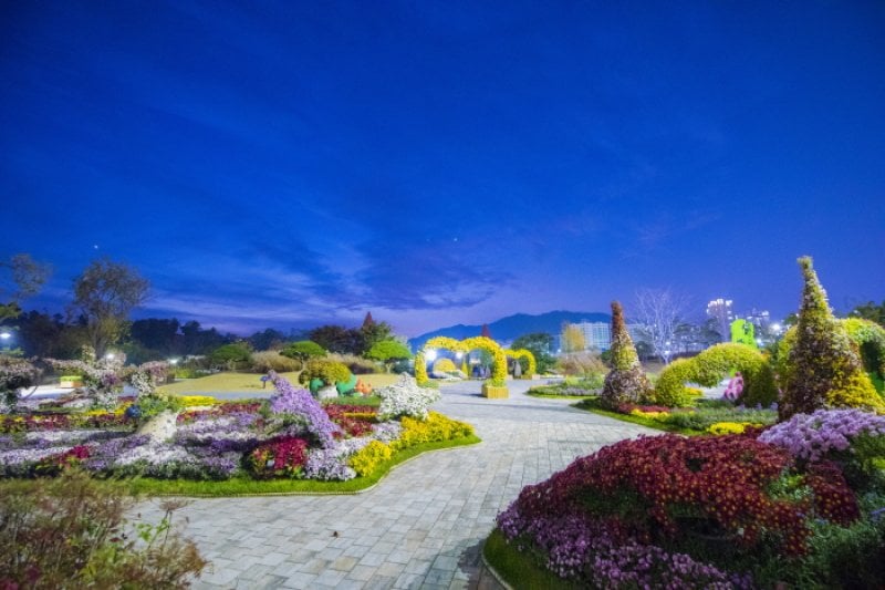 順天湾国家庭園 春花祭り（순천만국가정원 봄꽃 축제 2018 ） (4/11)