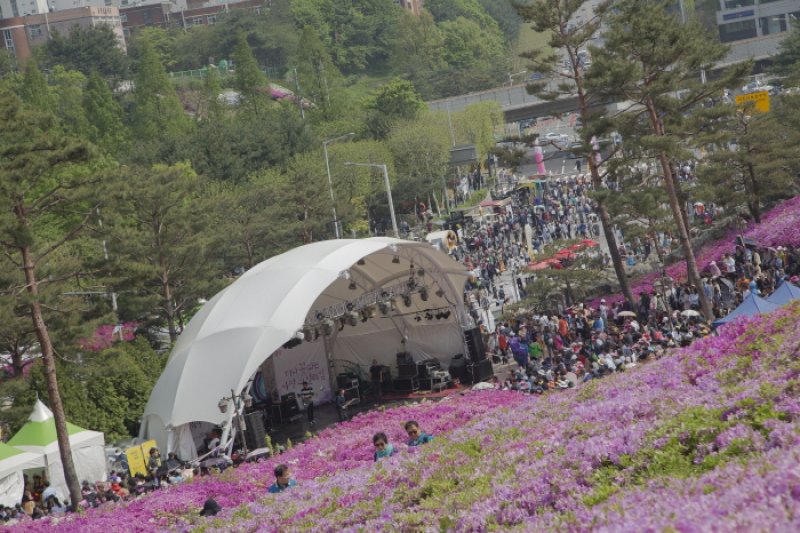 軍浦ツツジ祭り (15/19)