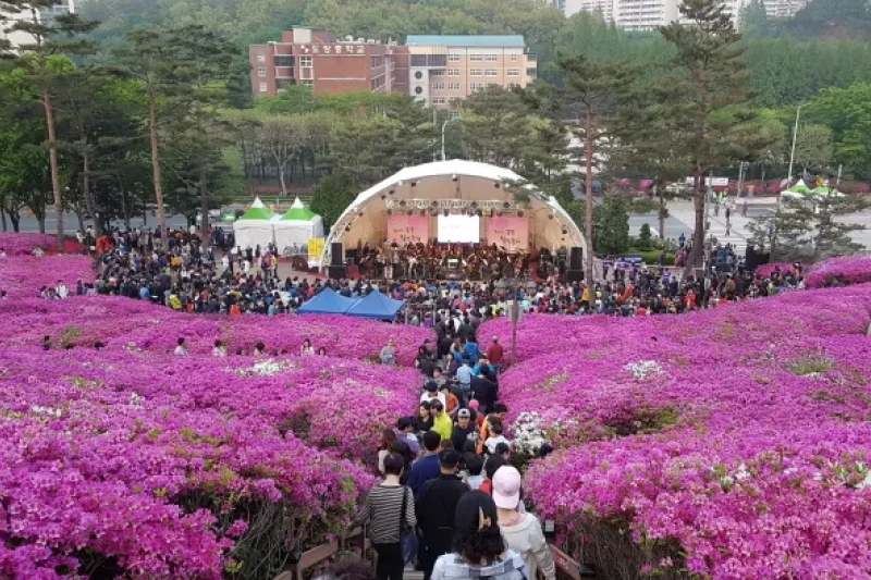 軍浦ツツジ祭り (16/19)