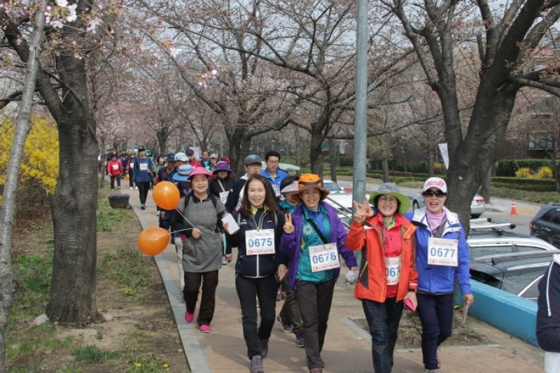 安養忠勲桜祭り（안양충훈 벚꽃축제 2018） (3/10)