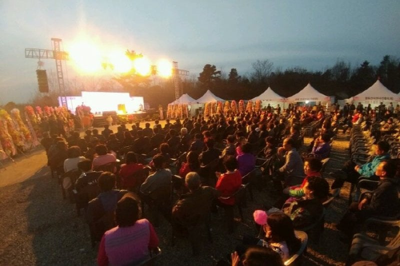 驪州興川 南漢江桜祭り（여주흥천남한강벚꽃축제） (3/5)
