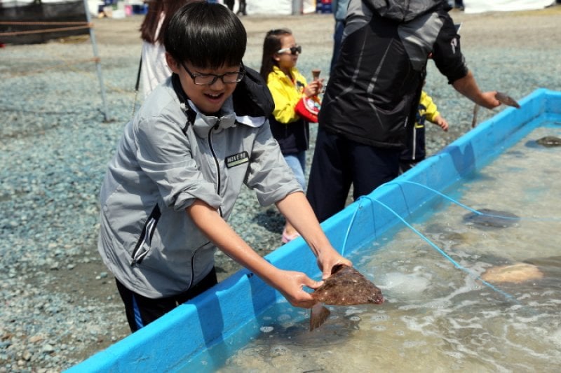 舒川自然産ヒラメタイ祭り（서천 자연산 광어 도미 축제） (1/10)