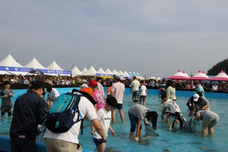 舒川自然産ヒラメタイ祭り（서천 자연산 광어 도미 축제） (5/10)