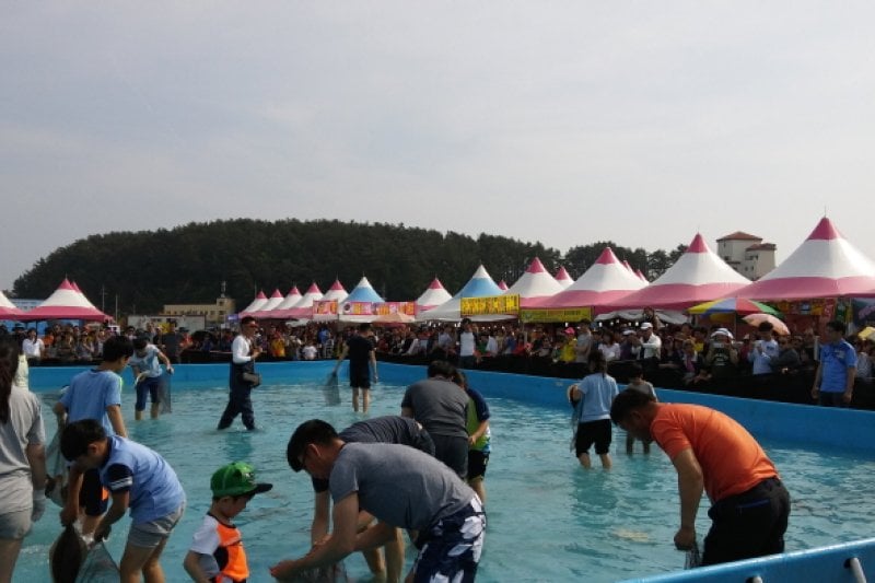 舒川自然産ヒラメタイ祭り（서천 자연산 광어 도미 축제） (7/10)