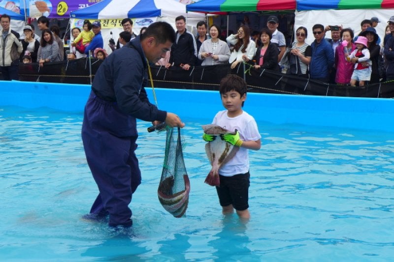 舒川自然産ヒラメタイ祭り（서천 자연산 광어 도미 축제） (9/10)