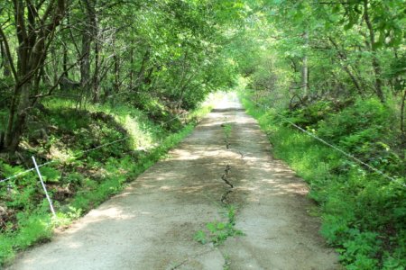 DMZ生態平和公園（DMZ 생태평화공원）