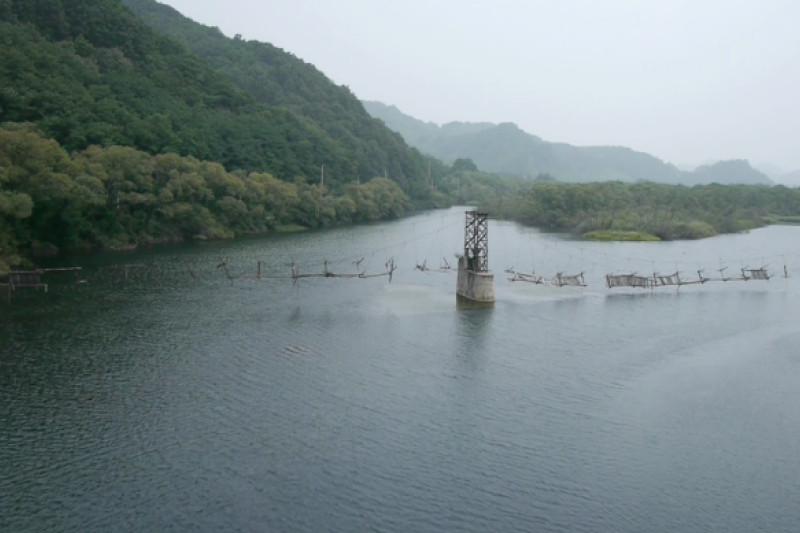 DMZ生態平和公園（DMZ 생태평화공원） (6/8)