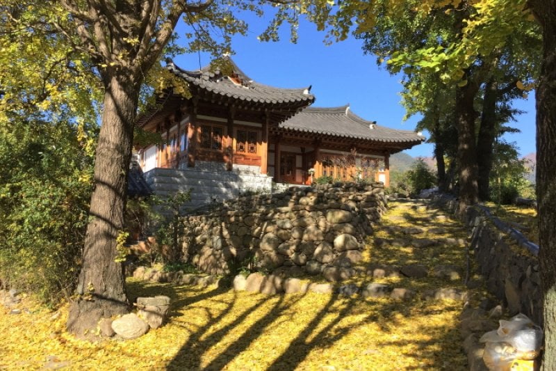 智異山韓屋村[韓国観光品質認証]（지리산한옥마을[한국관광품질인증/Korea Quality]） (1/27)
