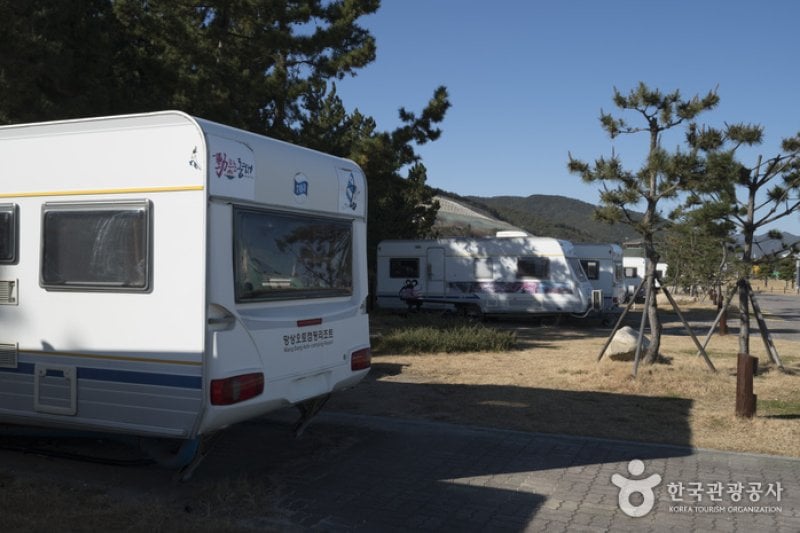 望祥オートキャンピングリゾート[韓国観光品質認証]（망상오토캠핑리조트 [한국관광품질인증/Korea Quality]） (3/10)