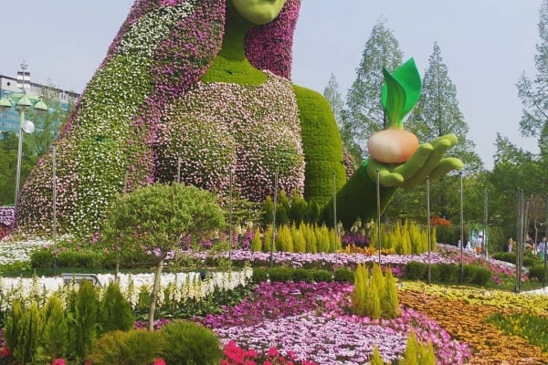 【韓国旅行情報】 春に行きたい公園ベスト7