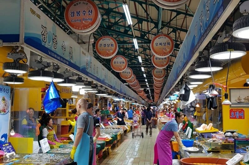 仁川総合魚市場 (1/11)