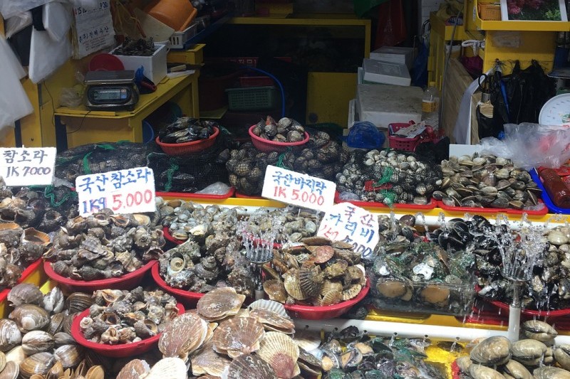 仁川総合魚市場 (4/11)