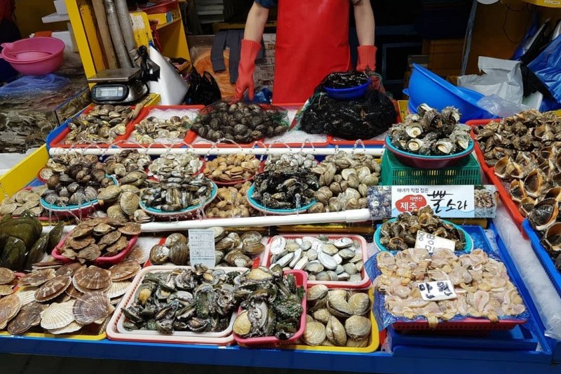 仁川総合魚市場 (5/11)