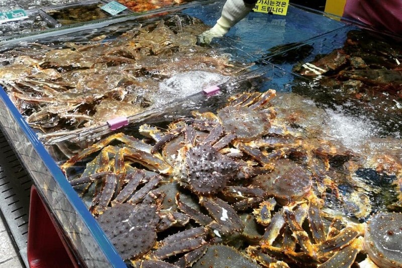 仁川総合魚市場 (7/11)