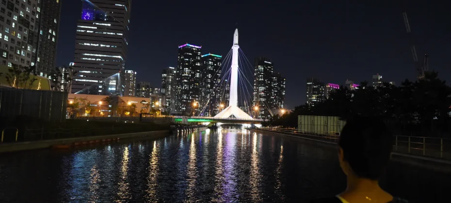 仁川松島セントラルパーク 夜景ツアー (8/51)