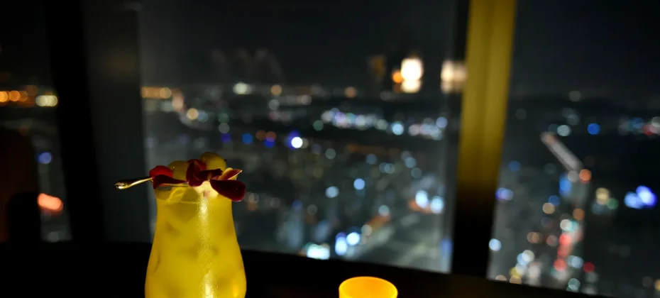 仁川松島セントラルパーク 夜景ツアー (41/51)