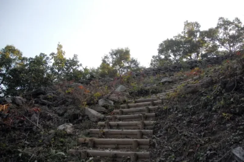 金伊城 (1/2)