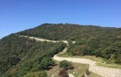 礼山 任存城