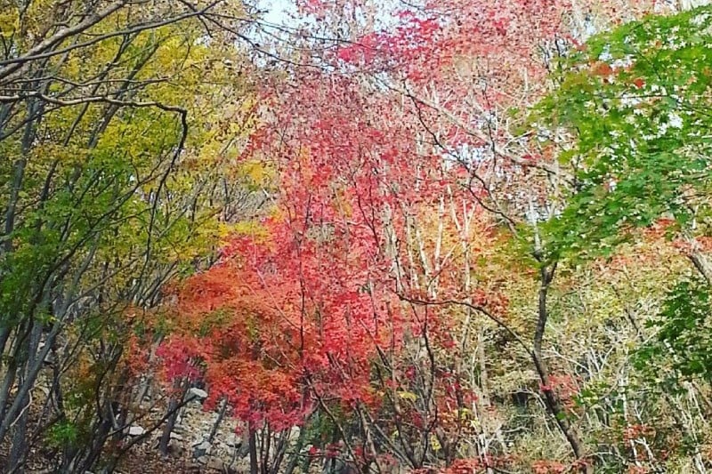 カジサン道立公園 (2/3)