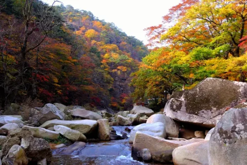 紅流洞渓谷 (5/6)