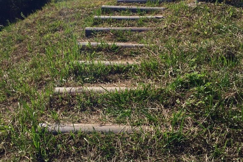 大所山 烽燧台 (4/4)