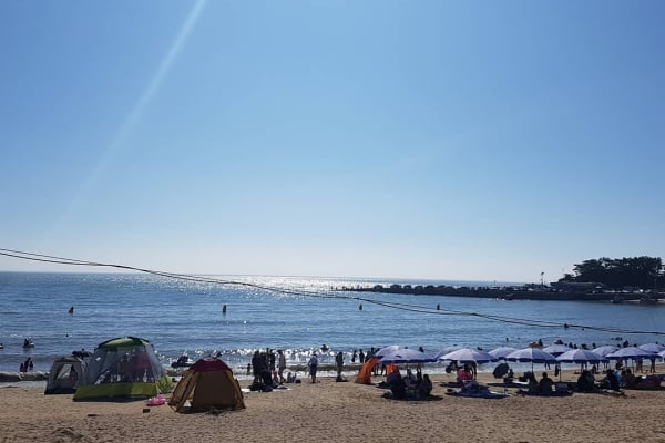 【韓国旅行情報】仁川の海水浴場ベスト