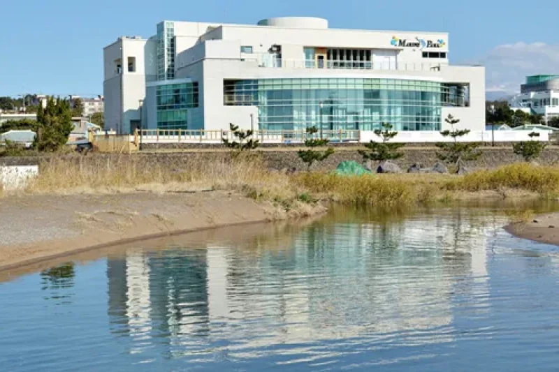 西帰浦海洋道立公園（서귀포해양도립공원）