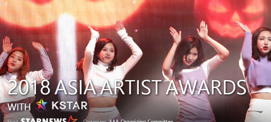 2018Asia Artist Awards(アジアアーティストアワード)チケット+観覧ツアー (6/6)