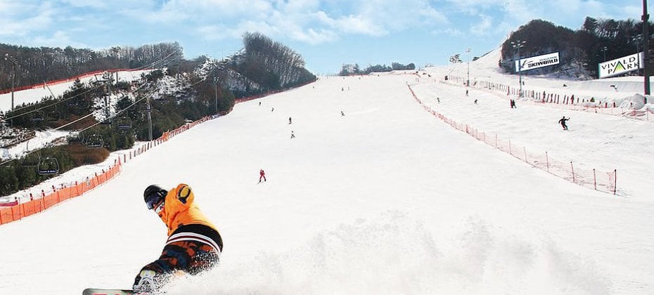 VIVALDI PARK ONE DAY SKI TOUR / shuttle service (6/36)