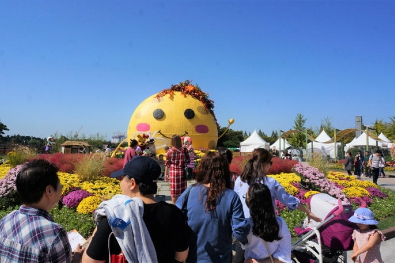 高陽秋花祭り（고양가을꽃축제） (4/11)