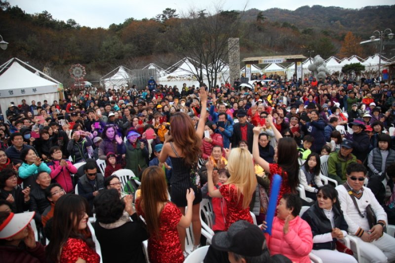 利川人参祭り（이천인삼축제） (3/10)