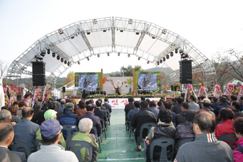 利川人参祭り（이천인삼축제） (4/10)