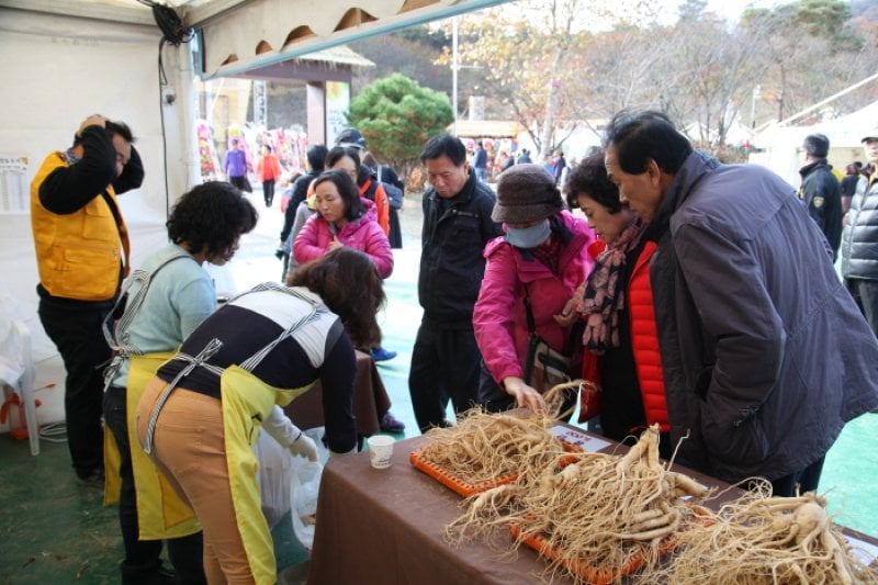利川人参祭り（이천인삼축제） (5/10)