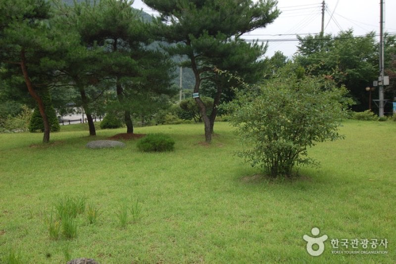 加里山自然休養林（가리산자연휴양림） (3/22)