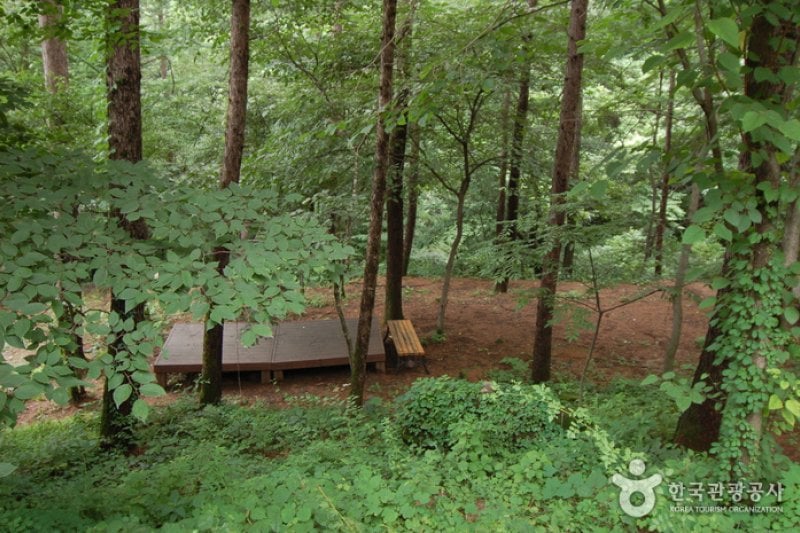 加里山自然休養林（가리산자연휴양림） (4/22)