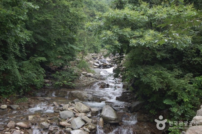 加里山自然休養林（가리산자연휴양림） (5/22)