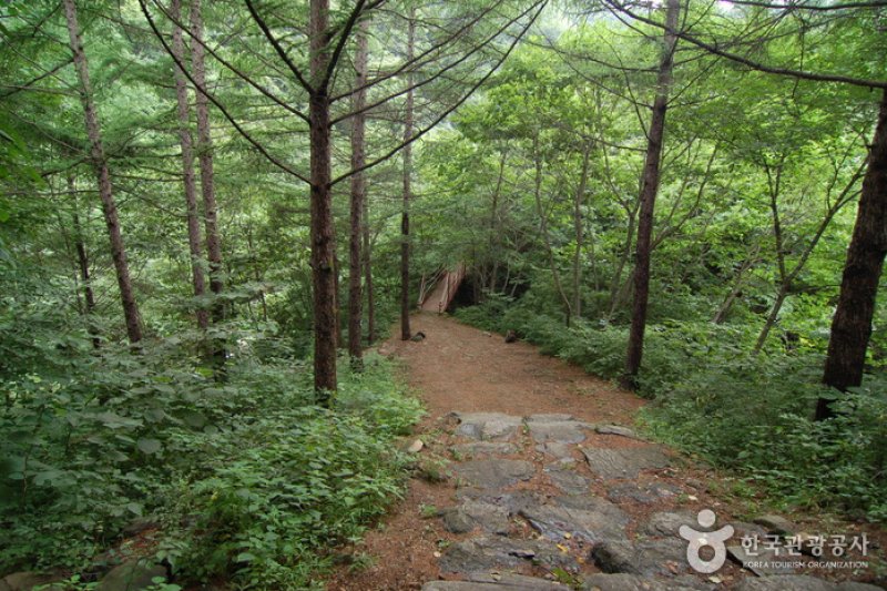 加里山自然休養林（가리산자연휴양림） (6/22)